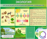 Стенд "Экология. Организация и функционирование сообществ" - «globural.ru» - Пенза
