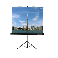 Проекционный экран на штативе Lumien Eco View (LEV-100105) 160x160 см - «globural.ru» - Пенза