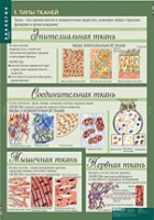 Биология 8-9 класс. Человек. (комплект таблиц) - «globural.ru» - Пенза