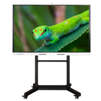 Интерактивный комплекс Geckotouch ​​​​​​​86RK - «globural.ru» - Пенза