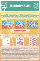 Стенд "Диффузия" - «globural.ru» - Пенза