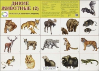 Раздаточные карточки "Дикие животные" часть 2 - «globural.ru» - Пенза