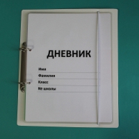 Дневник школьника (с полным набором карточек) - «globural.ru» - Пенза