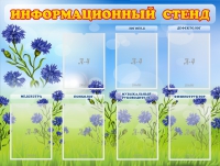 Стенд информационный с 7 карманами - «globural.ru» - Пенза