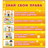 Стенд "Знай свои права" - «globural.ru» - Пенза