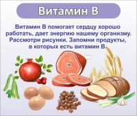 Стенд "Витамин В" - «globural.ru» - Пенза