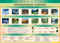Обобщающие таблицы 1000*700 винил	 - «globural.ru» - Пенза