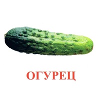 Карточки Домана "Овощи-Зелень-1" - «globural.ru» - Пенза