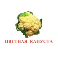 Карточки Домана "Овощи-Зелень-2" - «globural.ru» - Пенза
