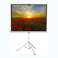 Экран на штативе DSKD-4303 - «globural.ru» - Пенза