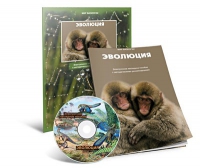 Электронное наглядное пособие «Эволюция» - «globural.ru» - Пенза