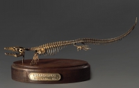 Модель скелета мозазавра Mosasaurus - «globural.ru» - Пенза
