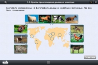 Интерактивные курсы. Биология 7 класс. Расширенный - «globural.ru» - Пенза