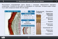 Интерактивные курсы. Биология 5 класс. Базовый  - «globural.ru» - Пенза