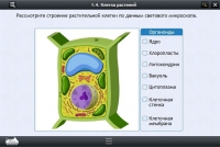 Интерактивные курсы. Биология 9 класс. Базовый - «globural.ru» - Пенза