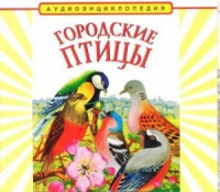 CD "Аудиоэнциклопедия. Городские птицы" - «globural.ru» - Пенза