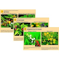 Гербарий фотографический "Ядовитые растения" - «globural.ru» - Пенза