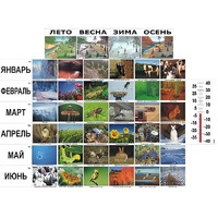 Фенологические наблюдения - «globural.ru» - Пенза