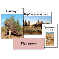 Модель-аппликация "Природные зоны России" - «globural.ru» - Пенза