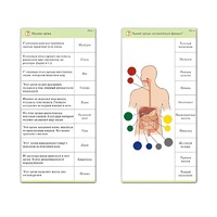 Комплект карточек (10) "Обучающий калейдоскоп. Человек" - «globural.ru» - Пенза