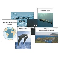 Модель-аппликация "Океаны. Знакомство" (ламинированная) - «globural.ru» - Пенза