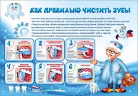 Стенд "Как правильно чистить зубы" - «globural.ru» - Пенза