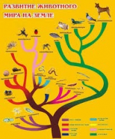 Стенд "Развитие животного мира на земле" - «globural.ru» - Пенза
