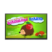 Интерактивная сенсорная панель 55"  (UHD 4K) - «globural.ru» - Пенза