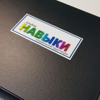 Навыки социальной адаптации. Развивающие пособие на липучках  - «globural.ru» - Пенза