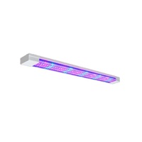 Фитолампа - «globural.ru» - Пенза