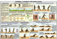 Плакат "Приемы и правила метания гранат" - «globural.ru» - Пенза