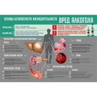Стенд "Алкоголь" - «globural.ru» - Пенза