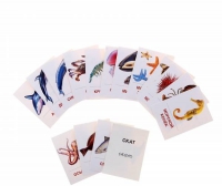 Раздаточные карточки "Мир морей и океанов" - «globural.ru» - Пенза