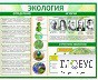 Стенд "Экология" - «globural.ru» - Пенза