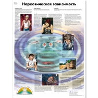 Плакат "Наркотическая зависимость", ламинированный, 50*67 см - «globural.ru» - Пенза