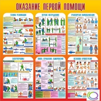 Стенд "Оказание первой помощи" - «globural.ru» - Пенза