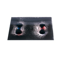 Набор «Эксперименты с магнитным полем» - «globural.ru» - Пенза