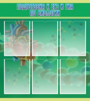 Стенд "Подготовка к ЕГЭ и ОГЭ по биологии" (вариант 1) - «globural.ru» - Пенза