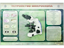 Электрифицированный стенд "Устройство микроскопа и правила работы c ним" - «globural.ru» - Пенза