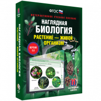 Наглядная биология. Растение - живой организм - «globural.ru» - Пенза