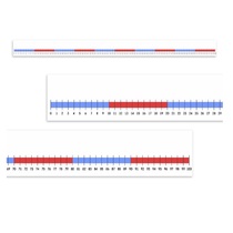 Нумирошка. Числовая прямая 0-100 по методике Нумикон - «globural.ru» - Пенза