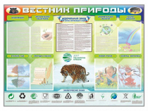 Стенд-уголок "Вестник природы" (вариант 1) - «globural.ru» - Пенза