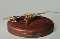 Модель скелета ихтиозавра Ichthyosaurus - «globural.ru» - Пенза