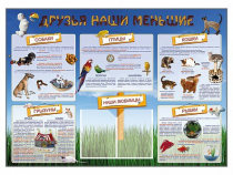 Стенд-уголок "Друзья наши меньшие" - «globural.ru» - Пенза