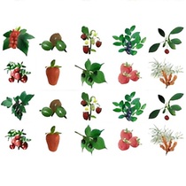 Комплект карточек. Серия наглядных пособий "Запоминай, играй, считай". Ягоды. - «globural.ru» - Пенза