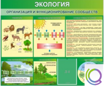 Стенд "Экология. Организация и функционирование сообществ" - «globural.ru» - Пенза