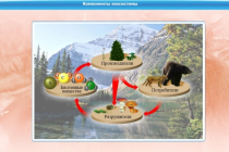 Интерактивные курсы. Биология 7 класс. Базовый - «globural.ru» - Пенза