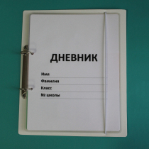Дневник школьника (с полным набором карточек) - «globural.ru» - Пенза