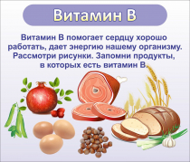 Стенд "Витамин В" - «globural.ru» - Пенза
