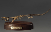 Модель скелета мозазавра Mosasaurus - «globural.ru» - Пенза